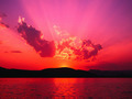 love_advisor_2011