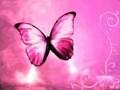 Divine_Seer